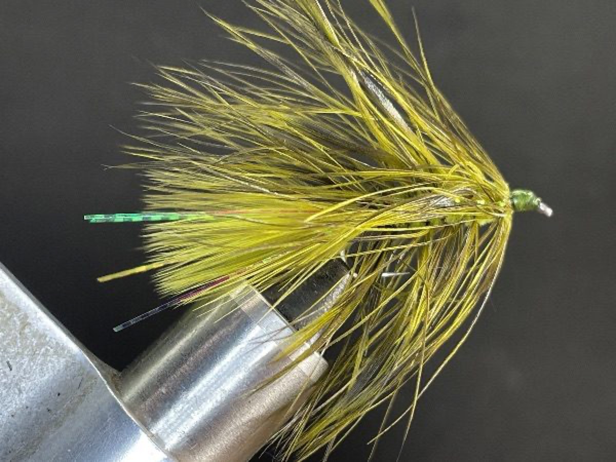Salmon Bugger, Olive fly pattern tied by Brent Jones