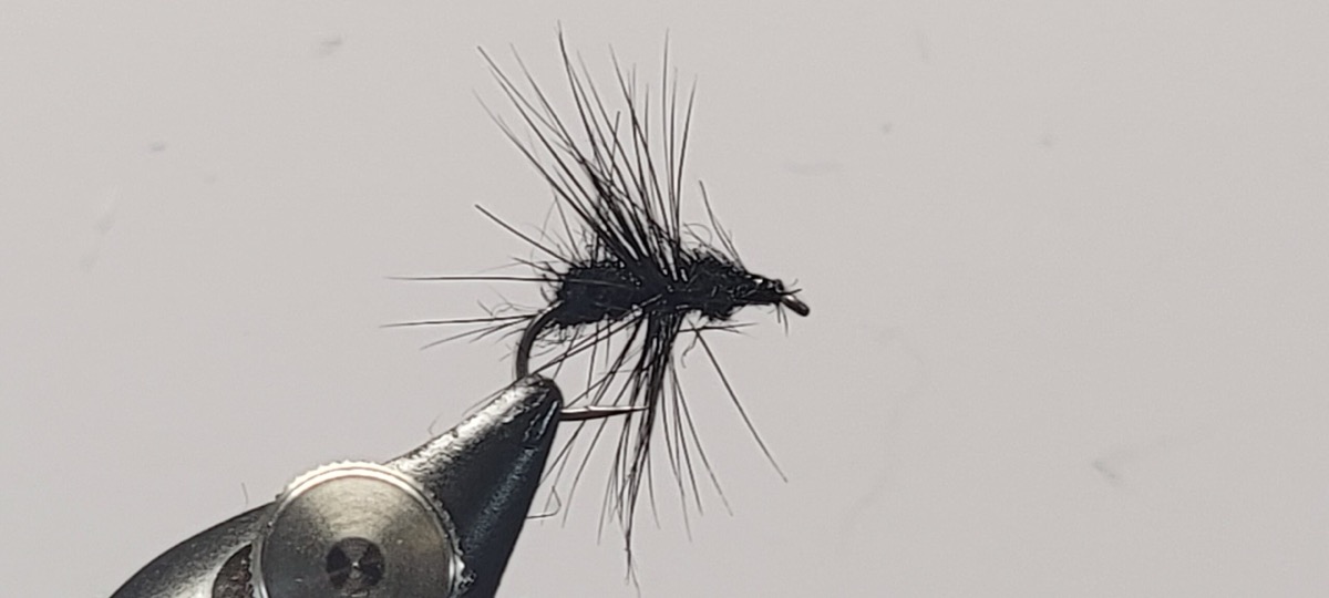 Black Ant Fly fly pattern tied by Darrell Olson