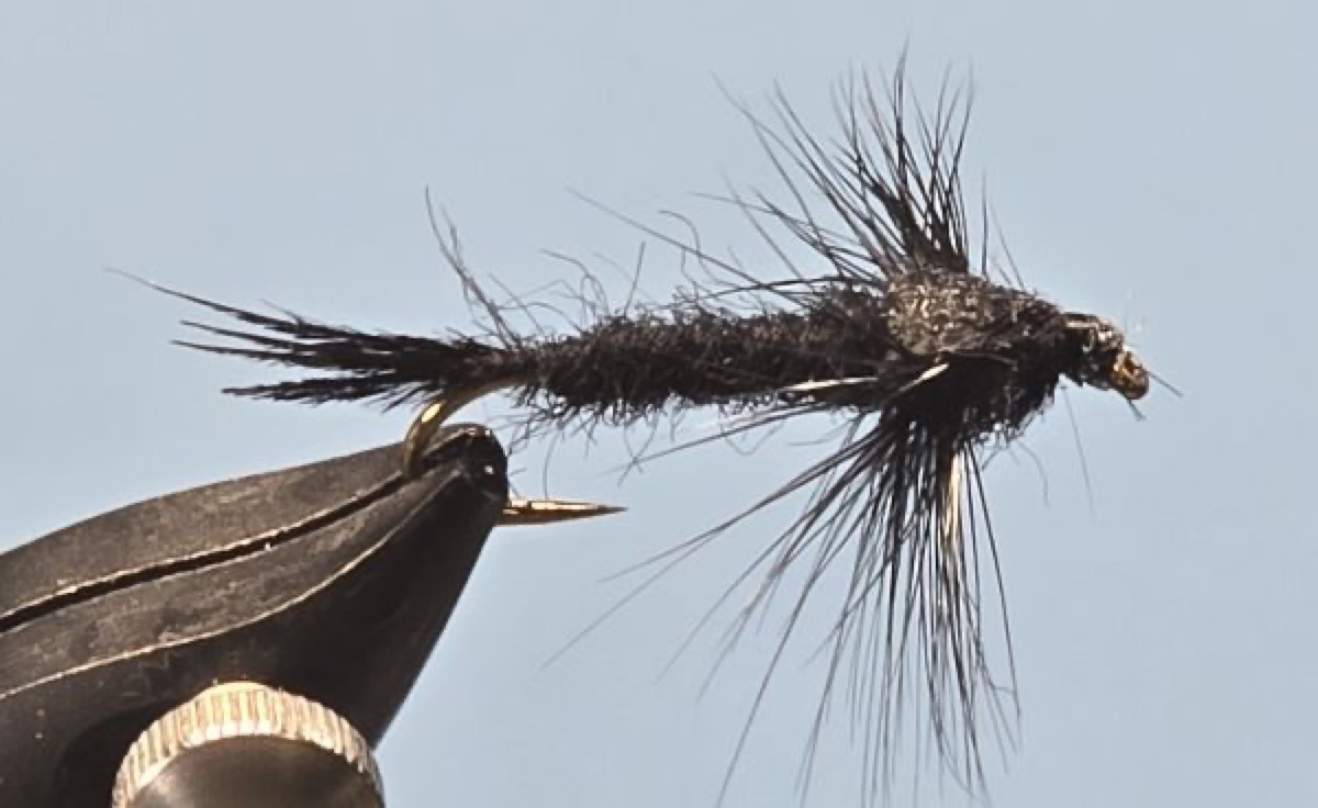 Giant Black Stonefly fly pattern tied by Darrell Olson