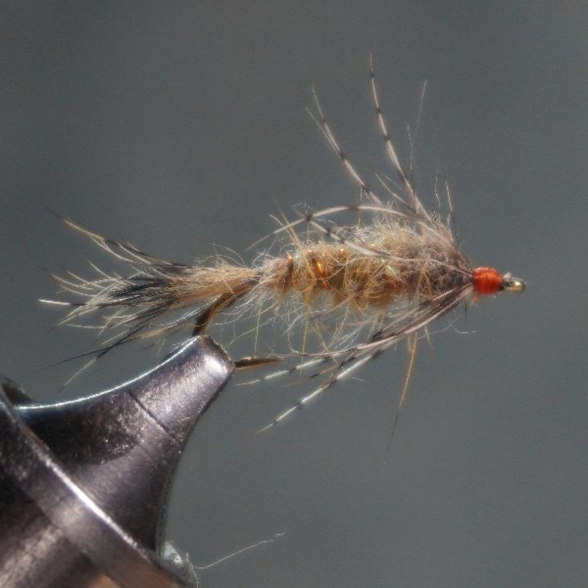 Fox Squirrel Nymph (Dave Whitlock) fly pattern tied by Christian Andrews