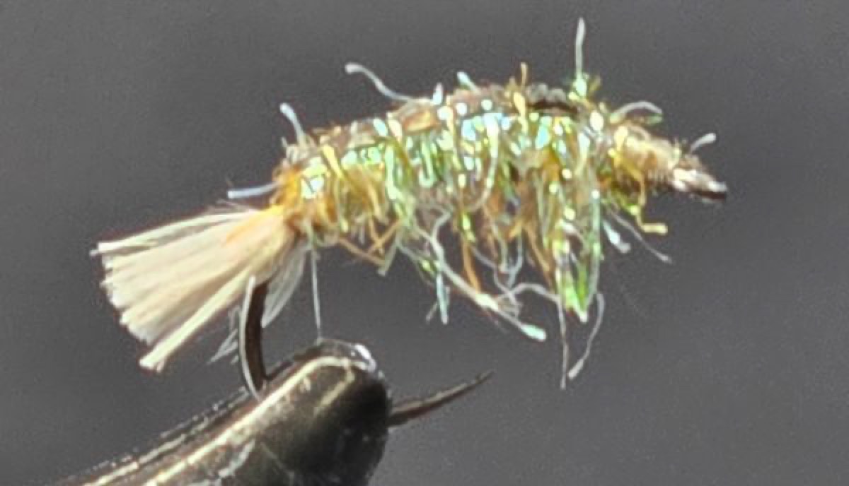 Netspinner Caddis fly pattern tied by Darrell Olson