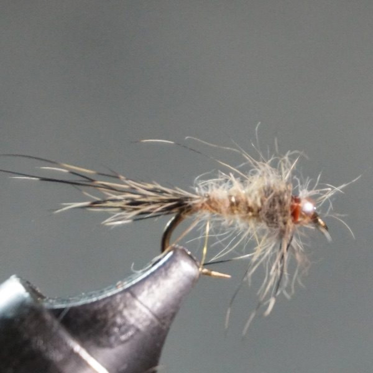 Fox Squirrel Nymph - bead head variant fly pattern tied by Christian Andrews