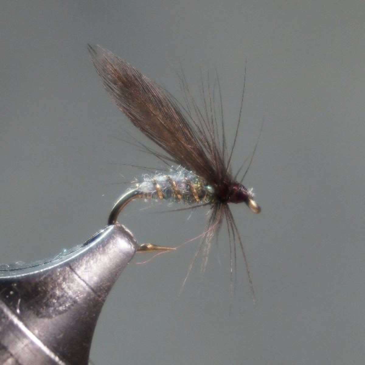 Bluebottle fly pattern tied by Christian Andrews