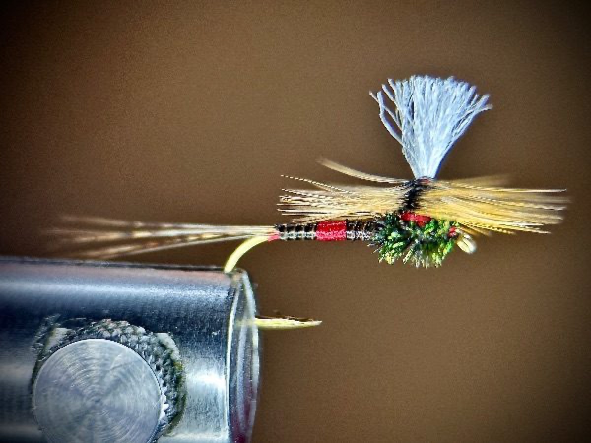 Yet to be named fly pattern tied by Ryan Storch