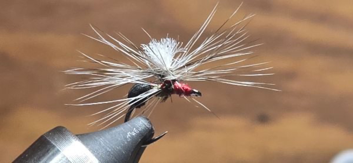 Easy Peasy Ant fly pattern tied by Darrell Olson