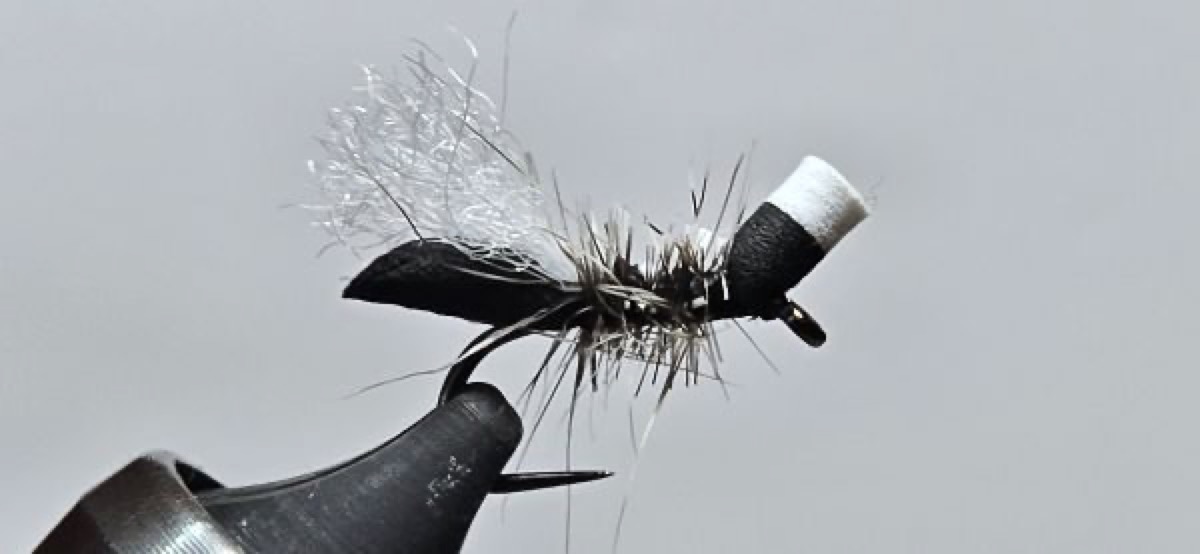 Easy Ant fly pattern tied by Darrell Olson
