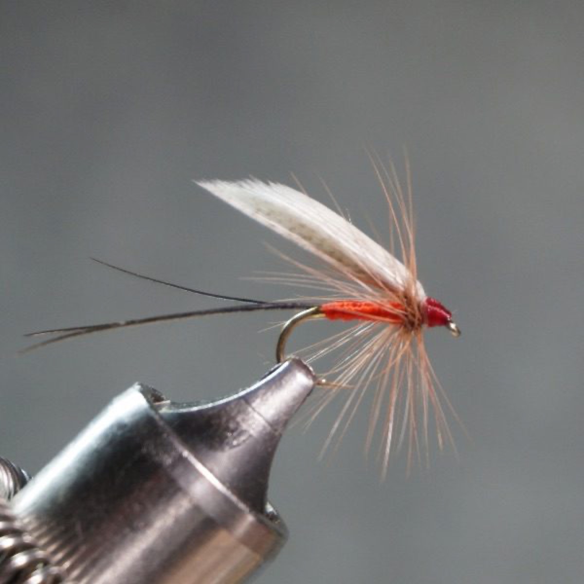 Brown Caughlan fly pattern tied by Christian Andrews