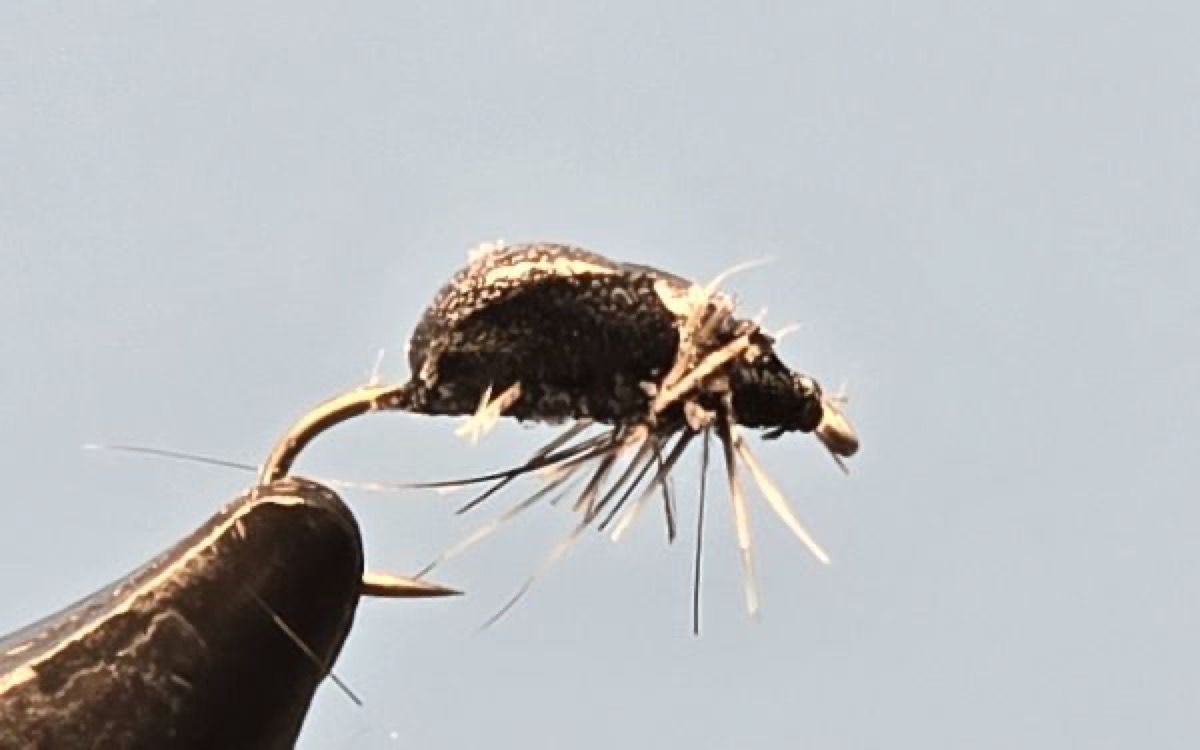 The Flea Beetle fly pattern tied by Darrell Olson