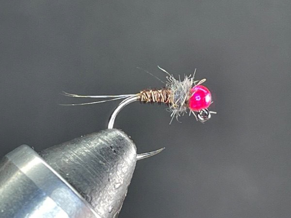Hot Pink Pheasant Tail Jig fly pattern tied by Brent Jones