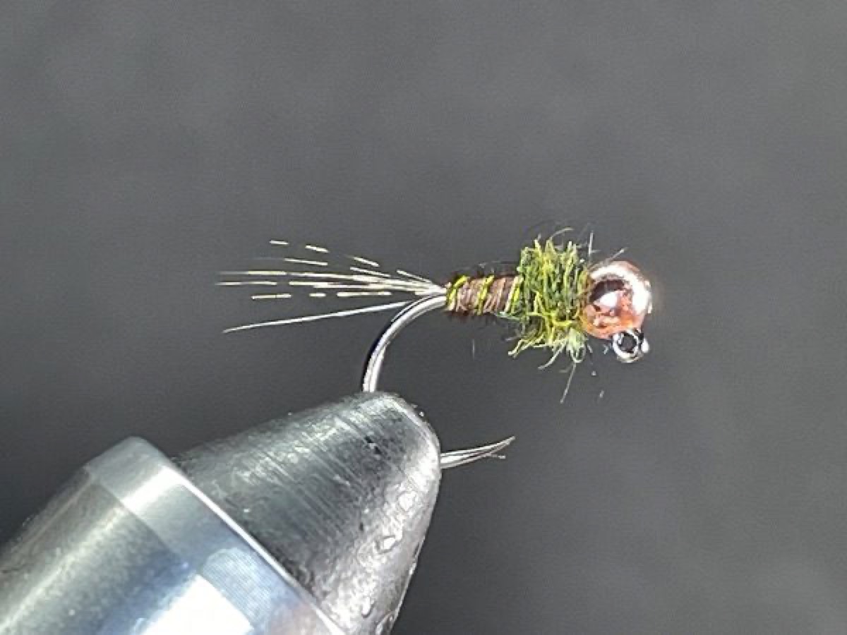 Copper Bead PTN Jig fly pattern tied by Brent Jones