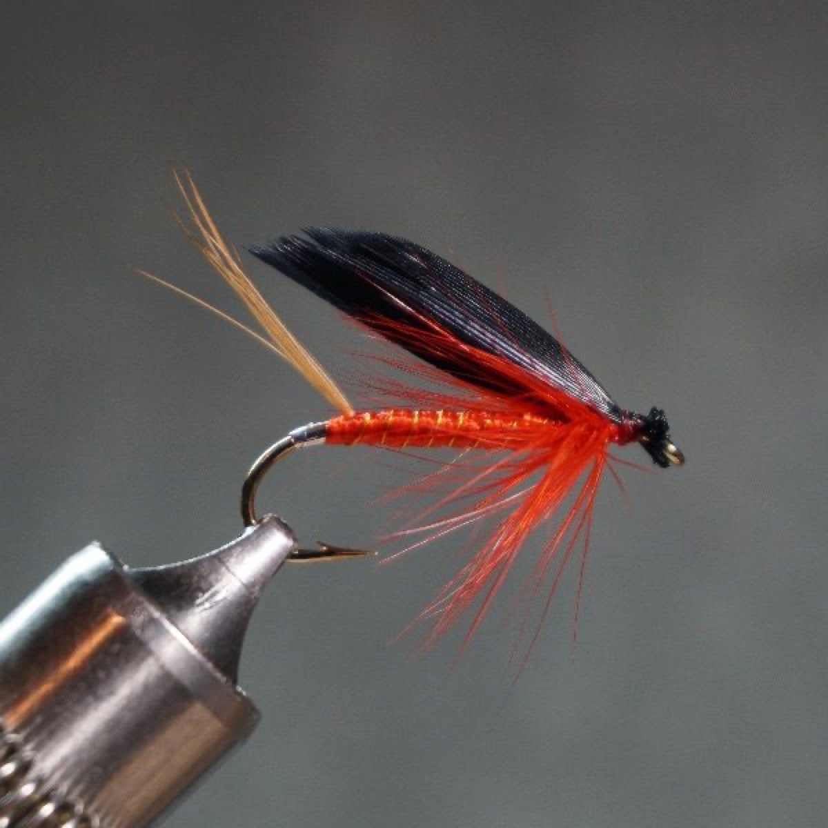 Bicknell fly pattern tied by Christian Andrews