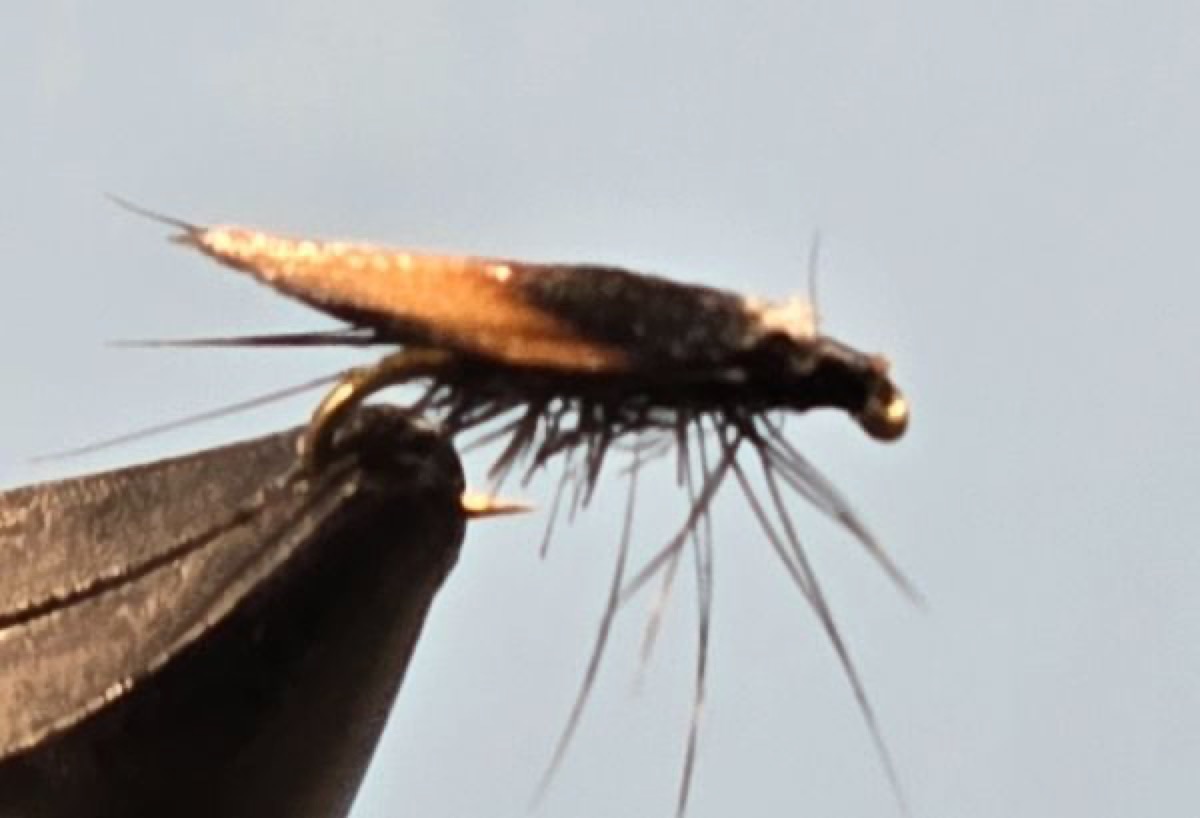 Jassid fly pattern tied by Darrell Olson