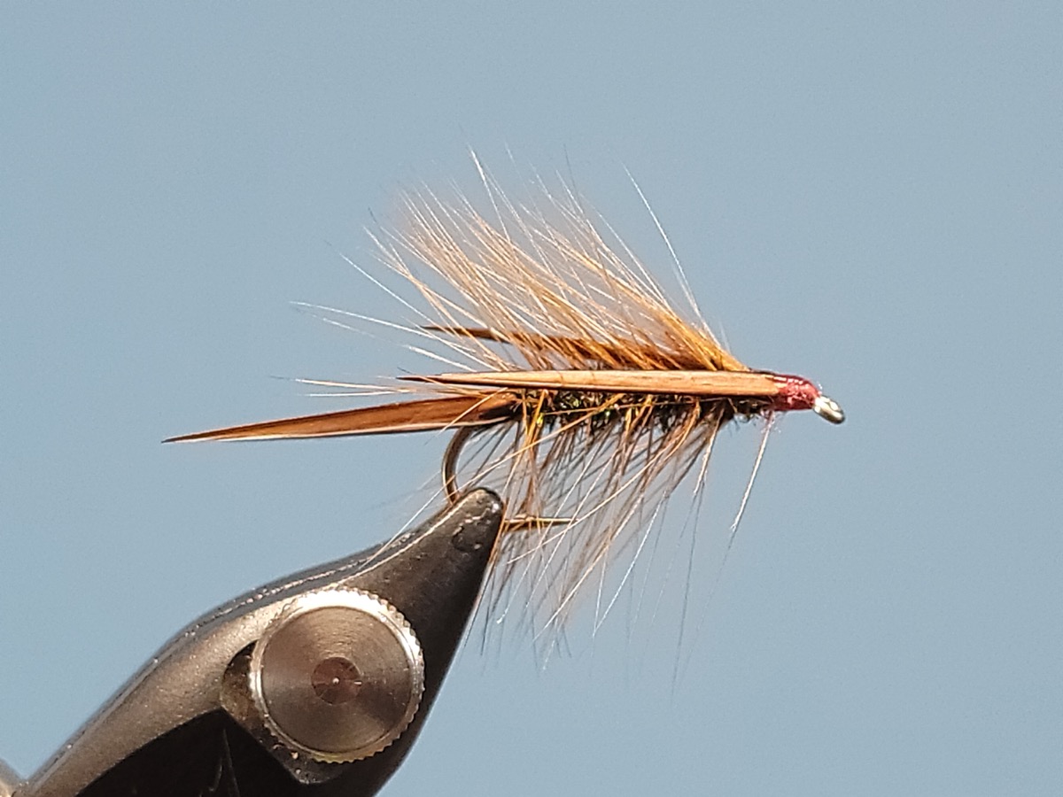 Backscratcher fly pattern tied by Darrell Olson