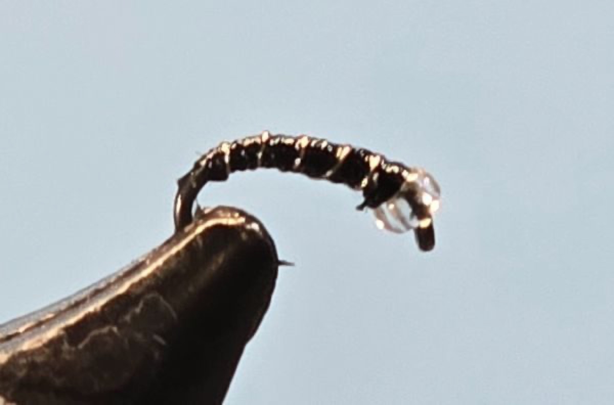 Crystal Zebra Midge fly pattern tied by Darrell Olson