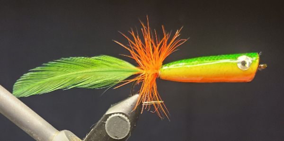 Fire Tiger Popper fly pattern tied by Dave Matthews
