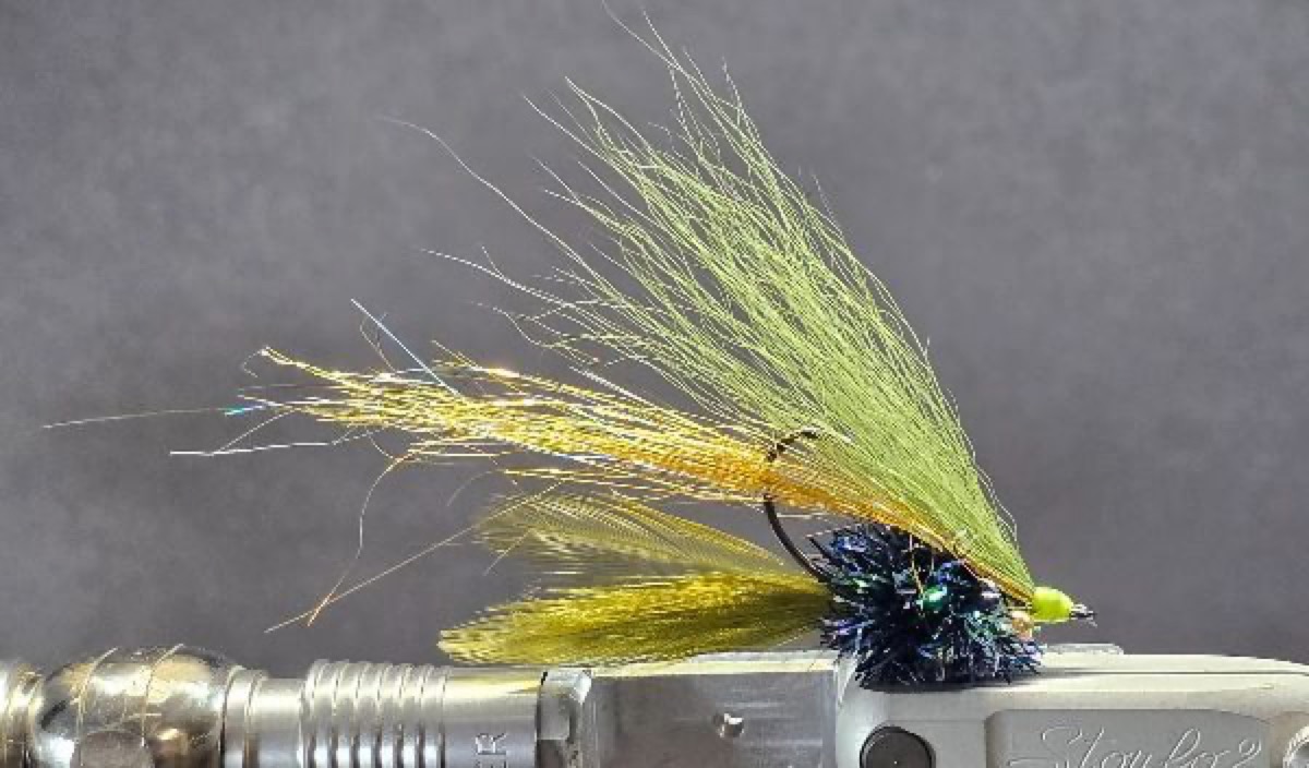 Oyster Raker Speckled Trout Fly fly pattern tied by Darrell Olson