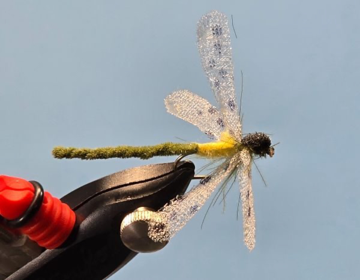 Dragonfly fly pattern tied by Darrell Olson