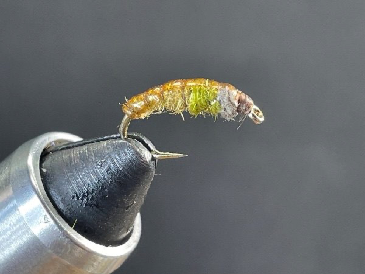 Czech Nymph (Tri-Color) fly pattern tied by Brent Jones