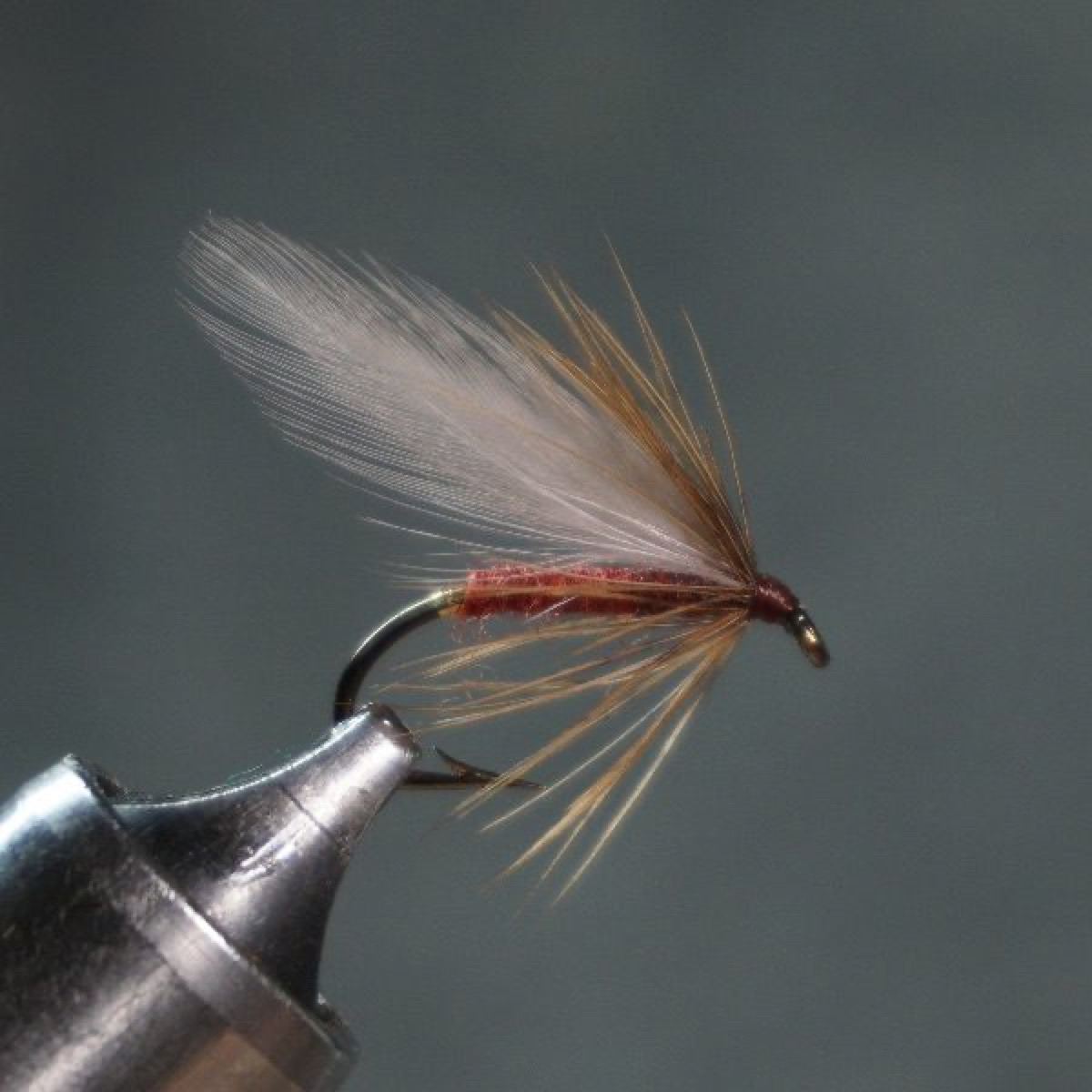 Caperer fly pattern tied by Christian Andrews