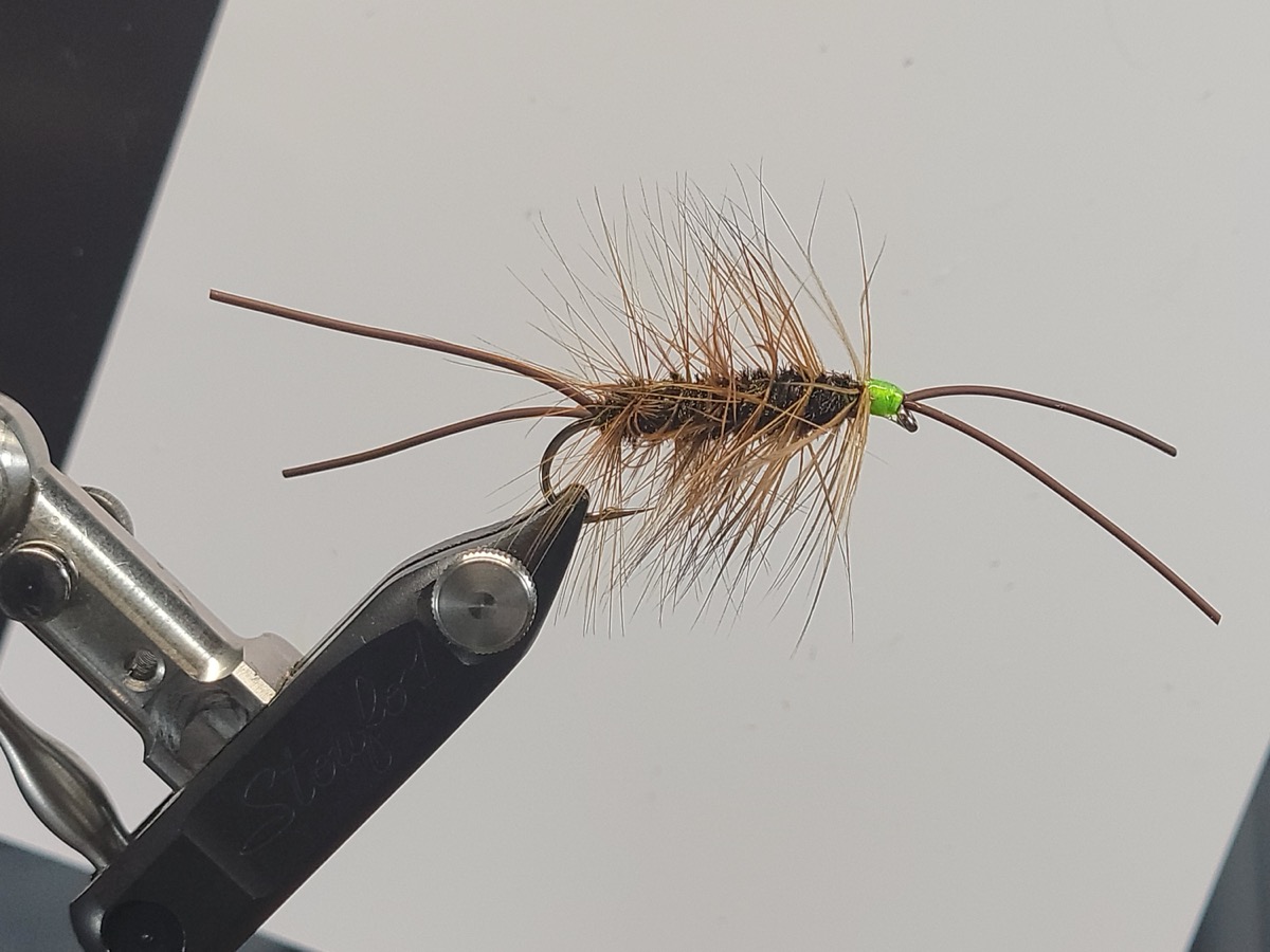 Bill Hale's Provider fly pattern tied by Darrell Olson