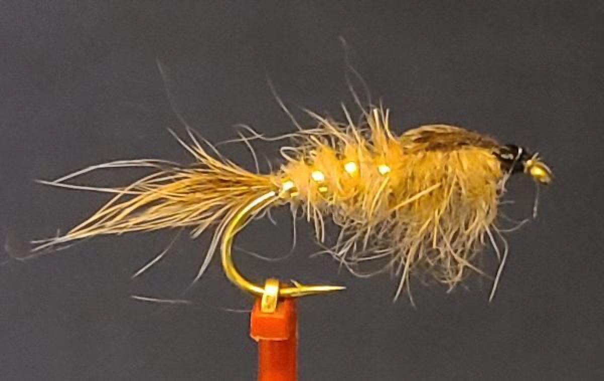 Gold Ribbed Hares Ear fly pattern tied by David Matthews