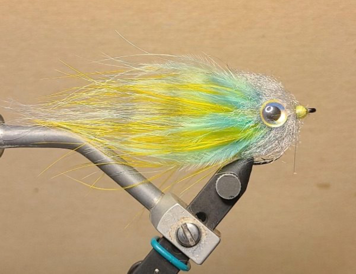pinfish fly pattern tied by David Matthews