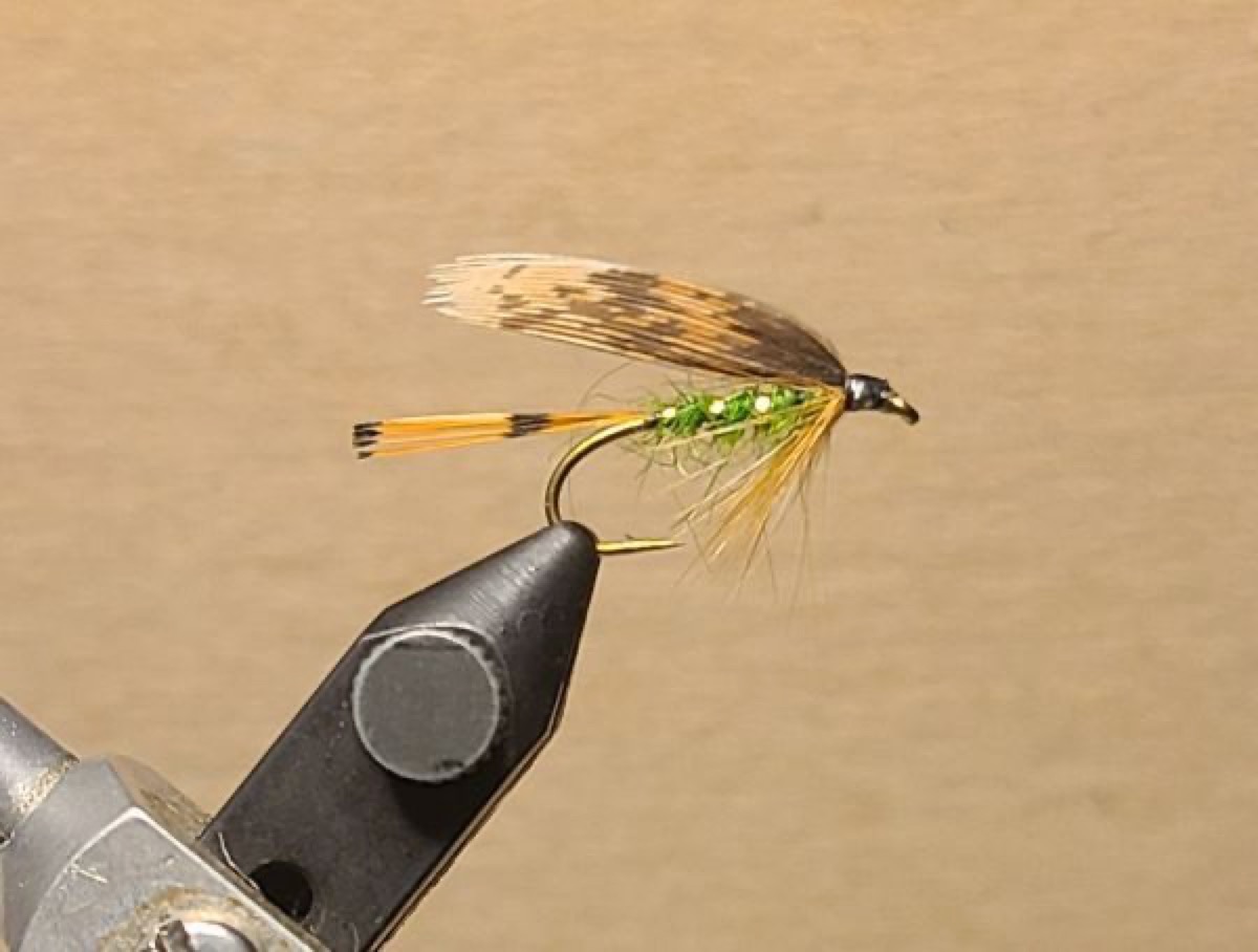 Grouse and Green fly pattern tied by David Matthews