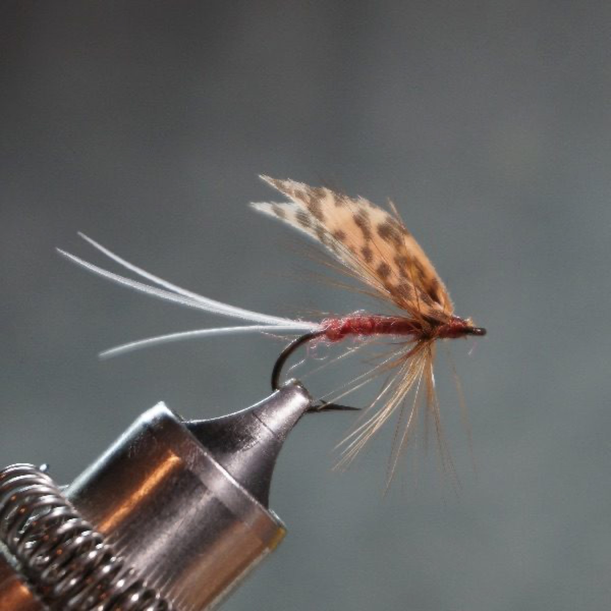Cinnamon fly pattern tied by Christian Andrews