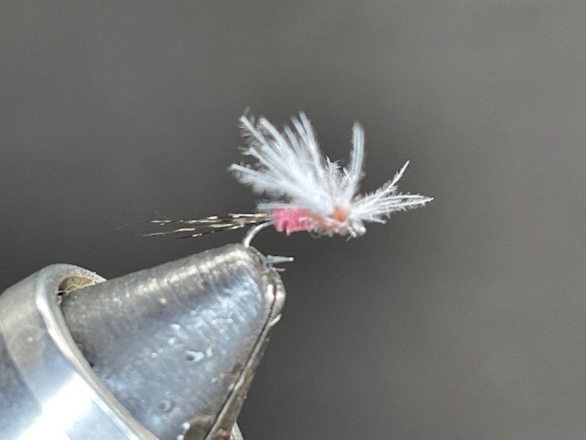 Mahogany Quill Spinner fly pattern tied by Brent Jones
