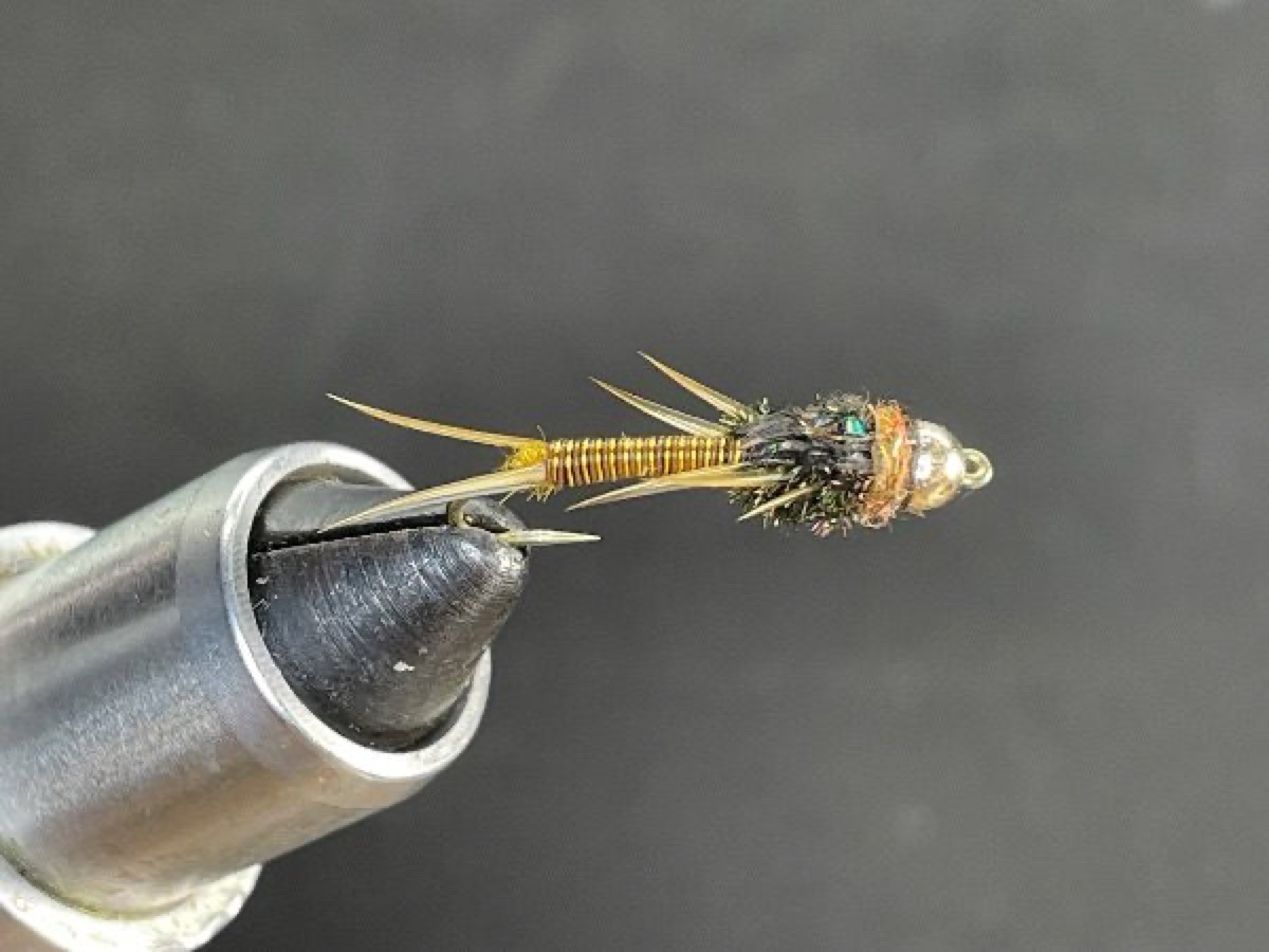 Wire Body Stonefly Nymph fly pattern tied by Brent Jones