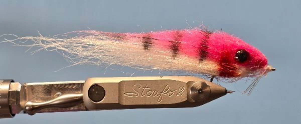 Electric Sushi fly pattern tied by Darrell Olson
