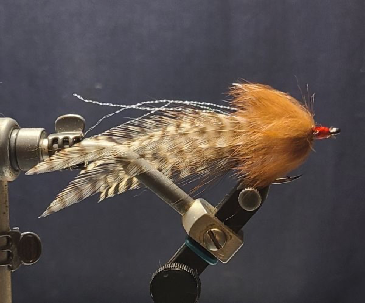Cockroach fly pattern tied by David Matthews