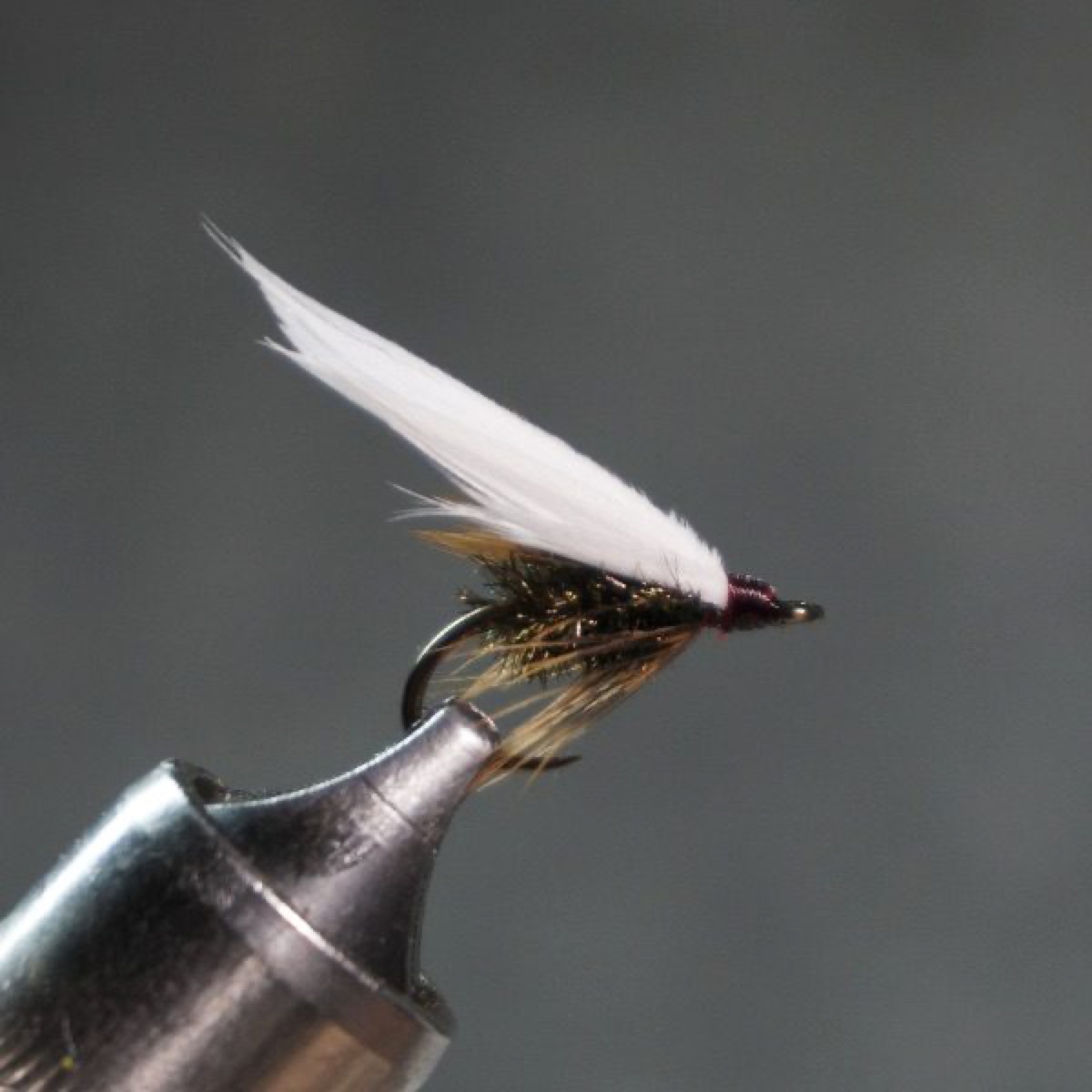 Coachman fly pattern tied by Christian Andrews