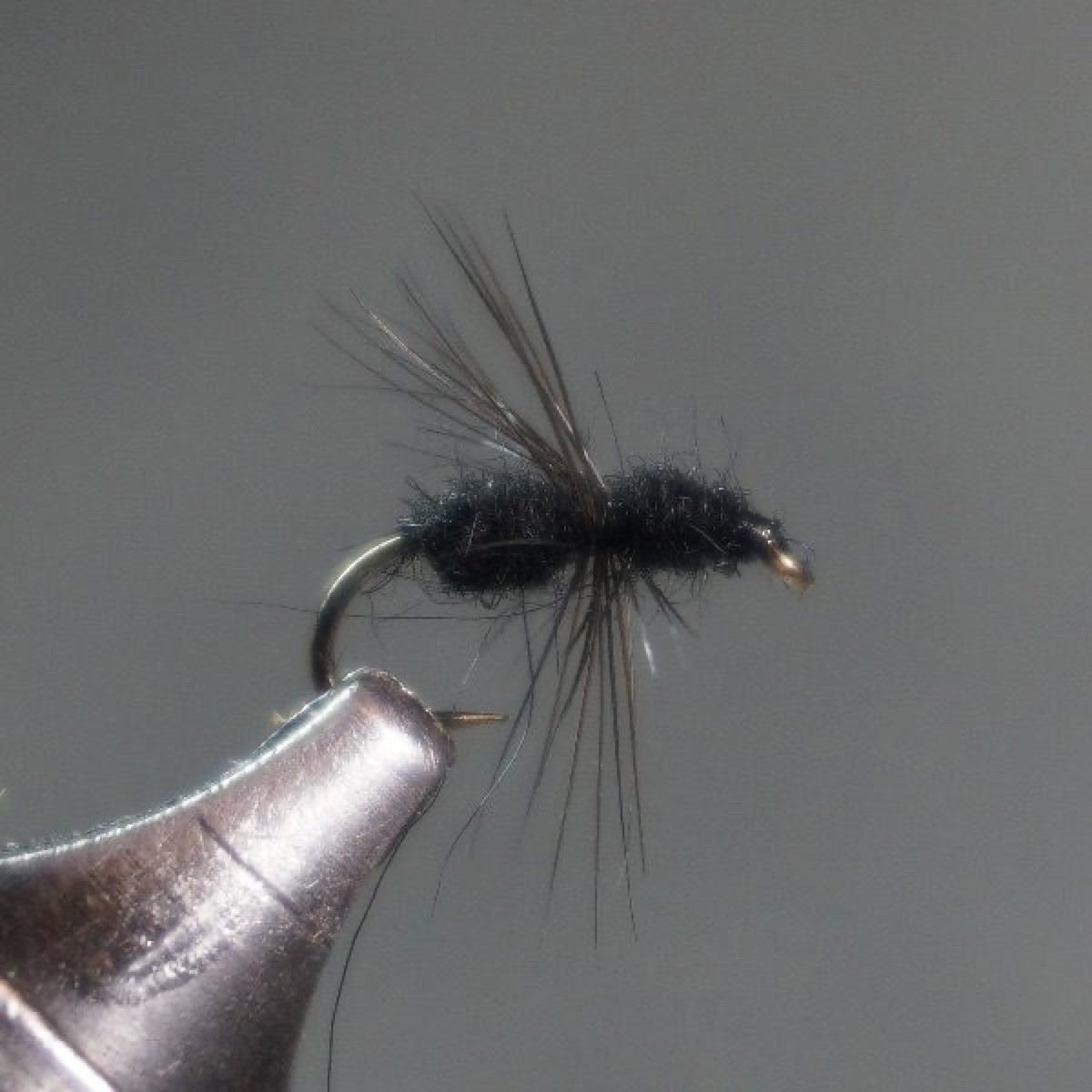Black Ant fly pattern tied by Christian Andrews