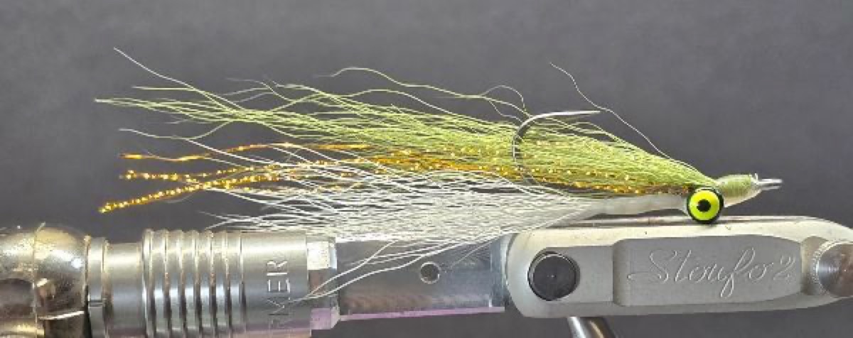 Closer Minnow fly pattern tied by Darrell Olson