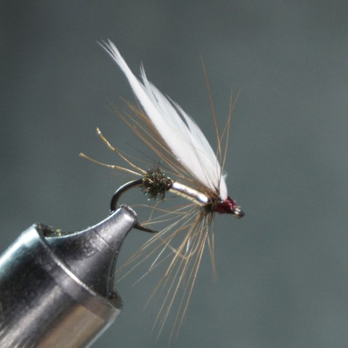 Gilt Coachman fly pattern tied by Christian Andrews