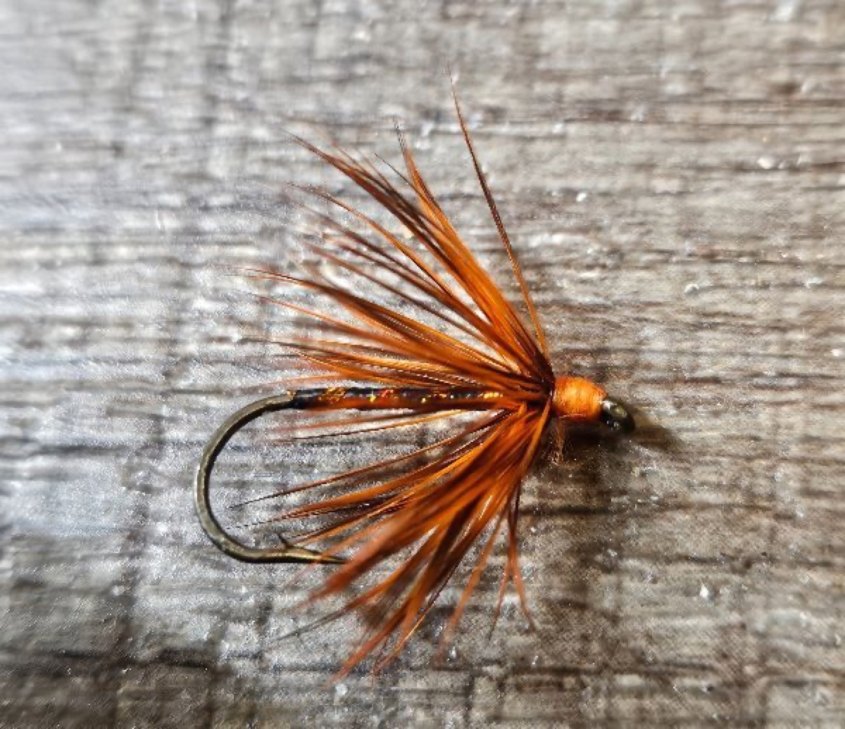 HALLOWEEN SPIDER fly pattern tied by Will Arrant
