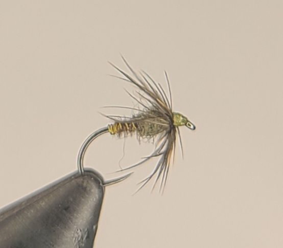 BWO Soft Hackle fly pattern tied by David Matthews