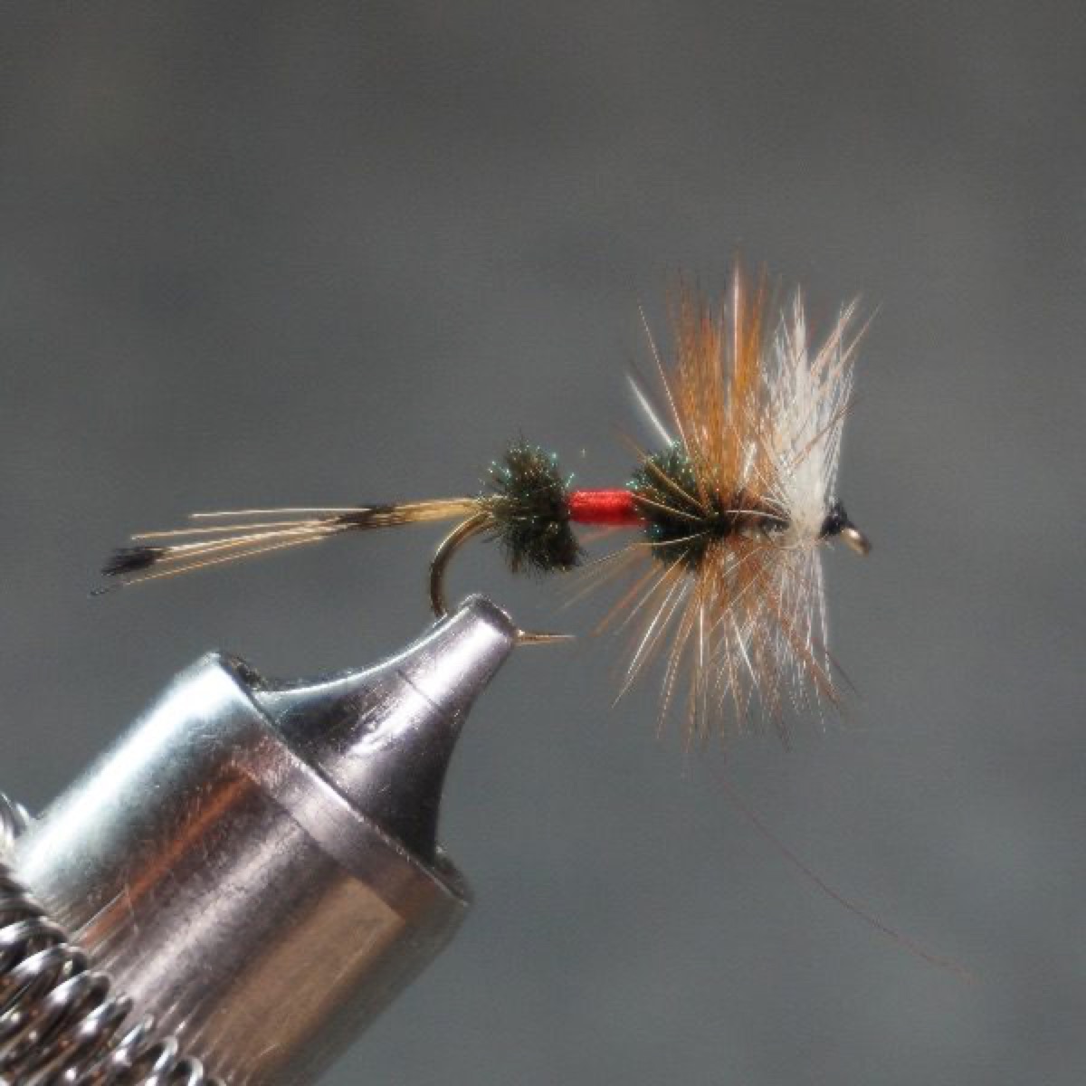 Royal Coachman Bivisible fly pattern tied by Christian Andrews