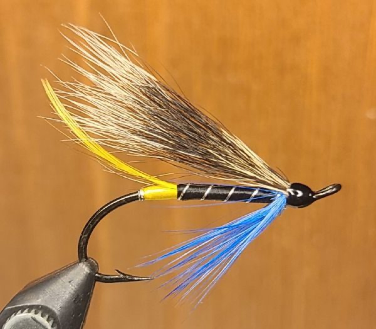 Blue charm hair wing fly pattern tied by David Matthews