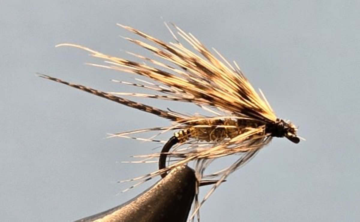 March Brown fly pattern tied by Darrell Olson