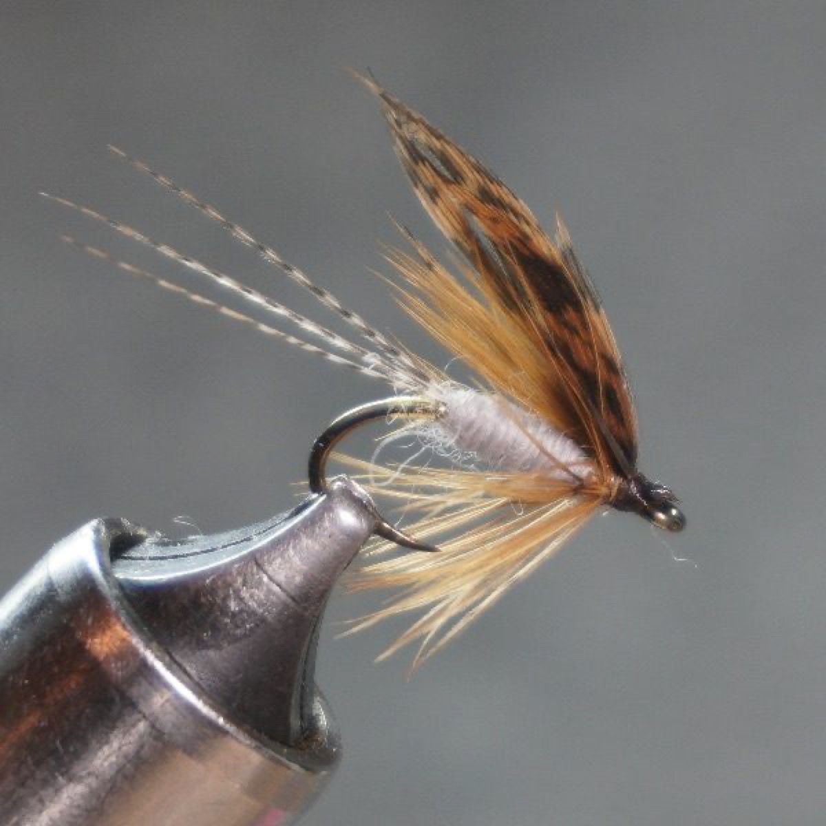 Carleton fly pattern tied by Christian Andrews