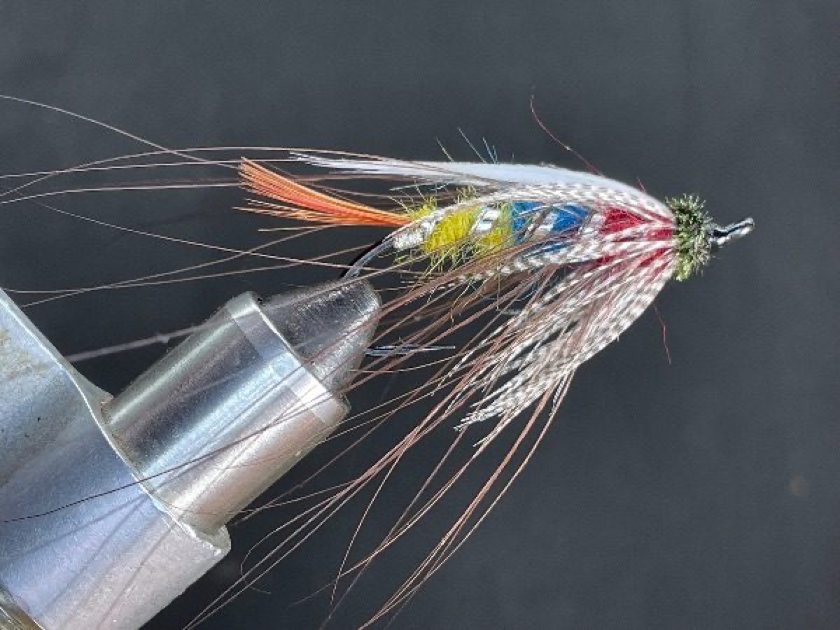 Tri-Color (Spey Style) circa 1860 fly pattern tied by Brent Jones