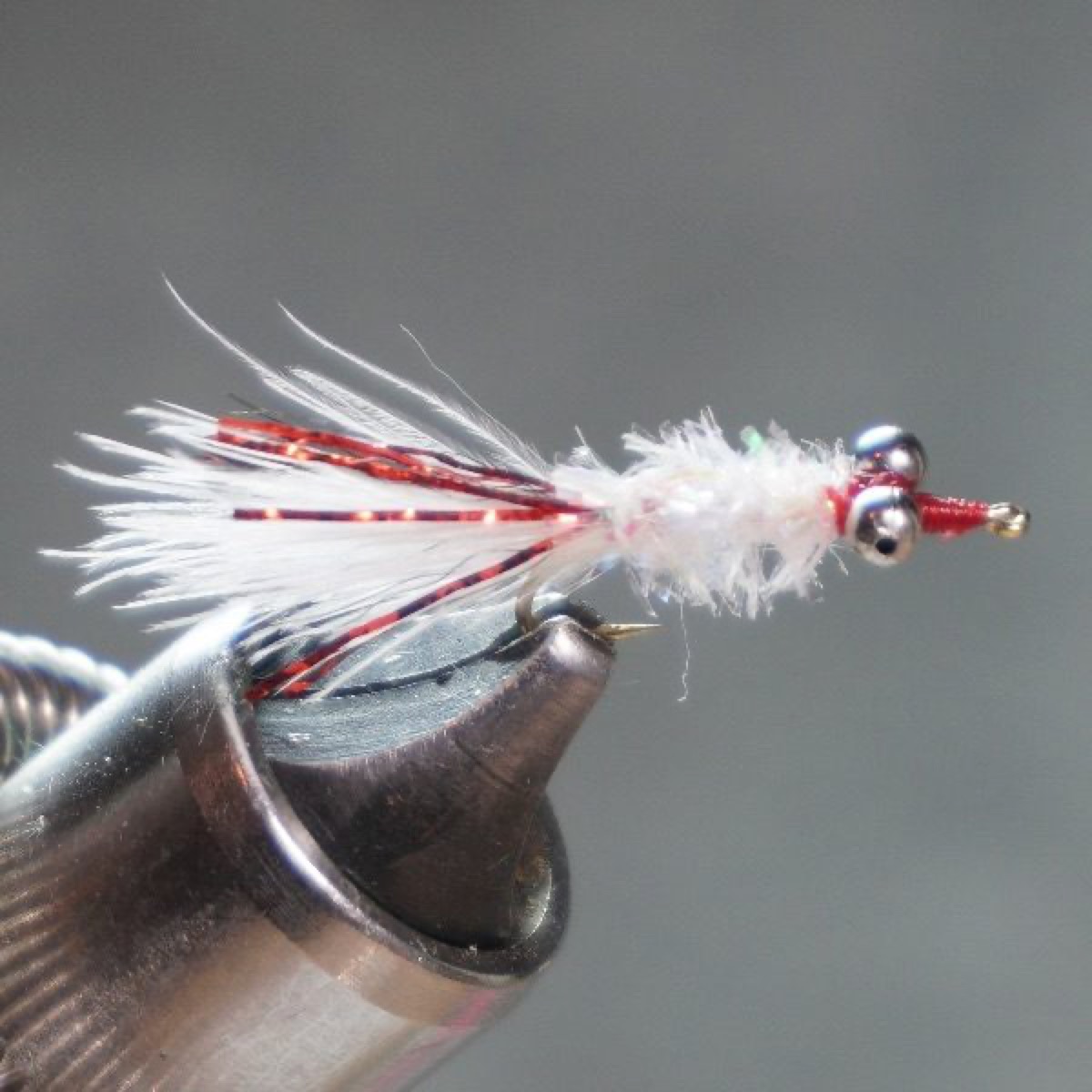 Silver Shiner fly pattern tied by Christian Andrews