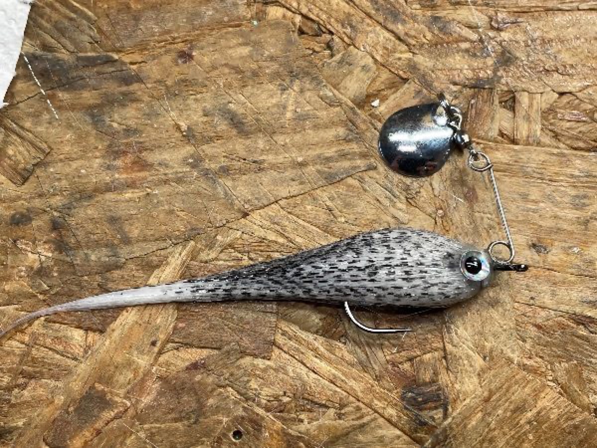 Spinner Minnow fly pattern tied by Brent Jones