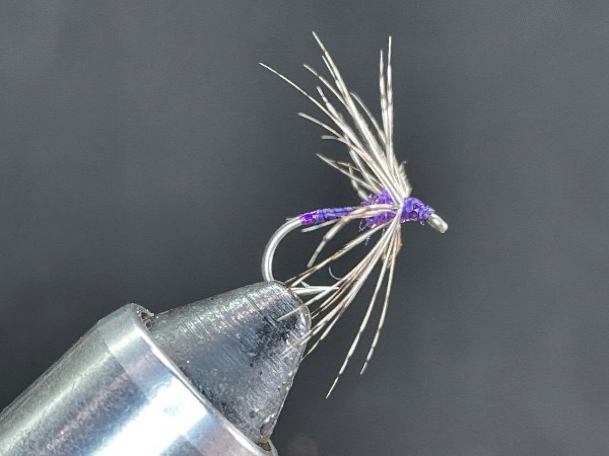 Purple & Partridge fly pattern tied by Brent Jones
