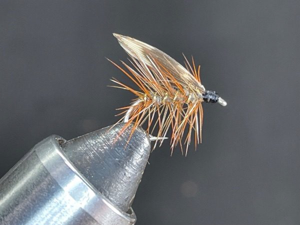 Hackled Hare’s Ear fly pattern tied by Brent Jones