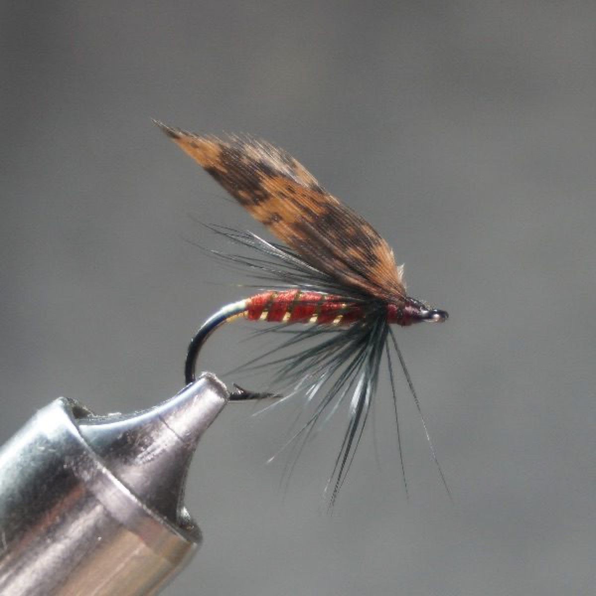 Claret fly pattern tied by Christian Andrews