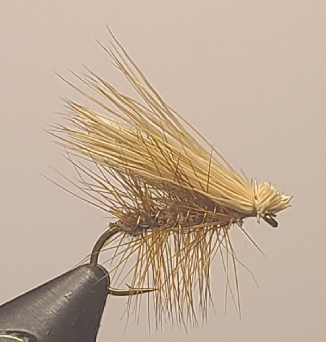 Elk Hair Caddis fly pattern tied by David Matthews