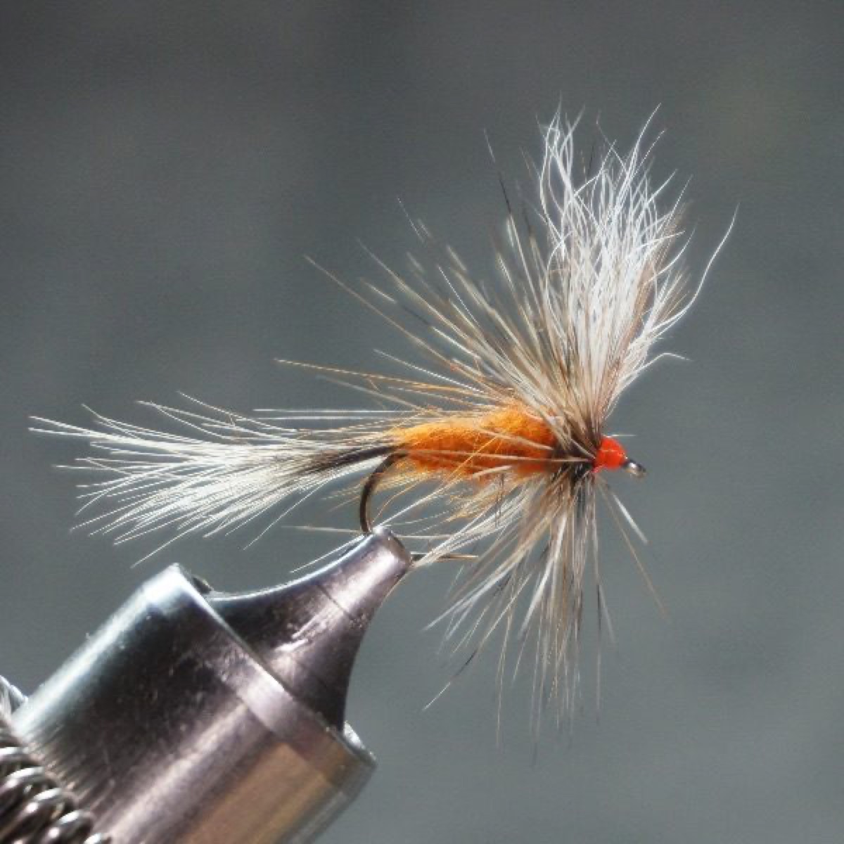Ausalble Wulff fly pattern tied by Christian Andrews